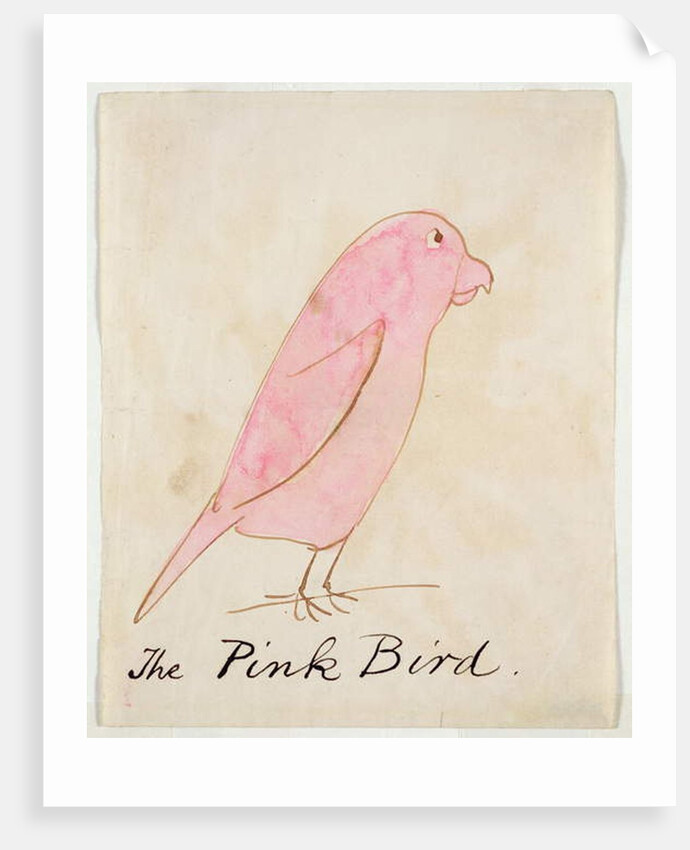 The Pink Bird by Edward Lear