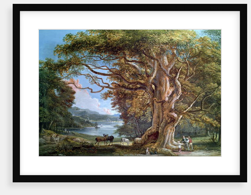 An Ancient Beech Tree, 1794 by Paul Sandby