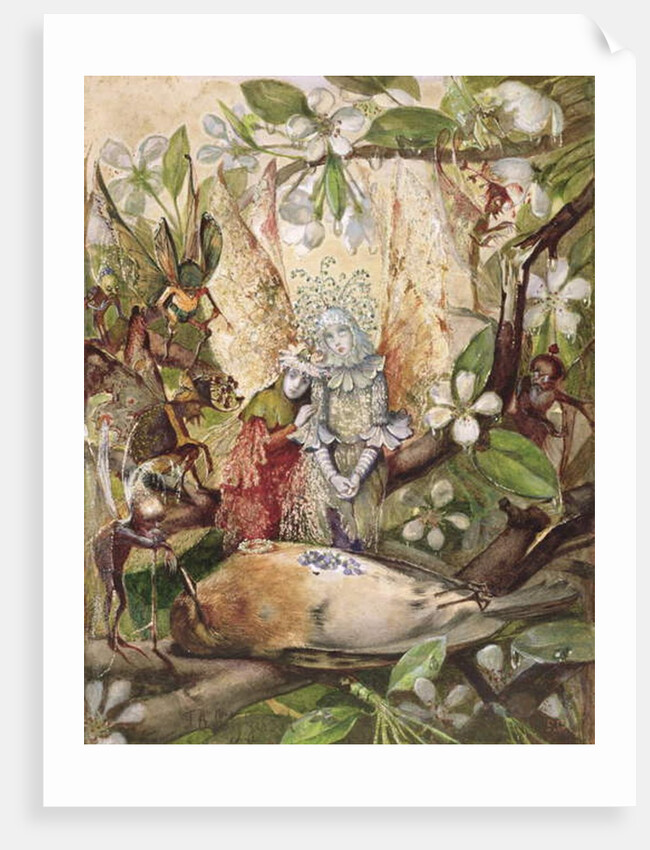 The Death of Cock Robin, 1860-70 by John Anster Fitzgerald