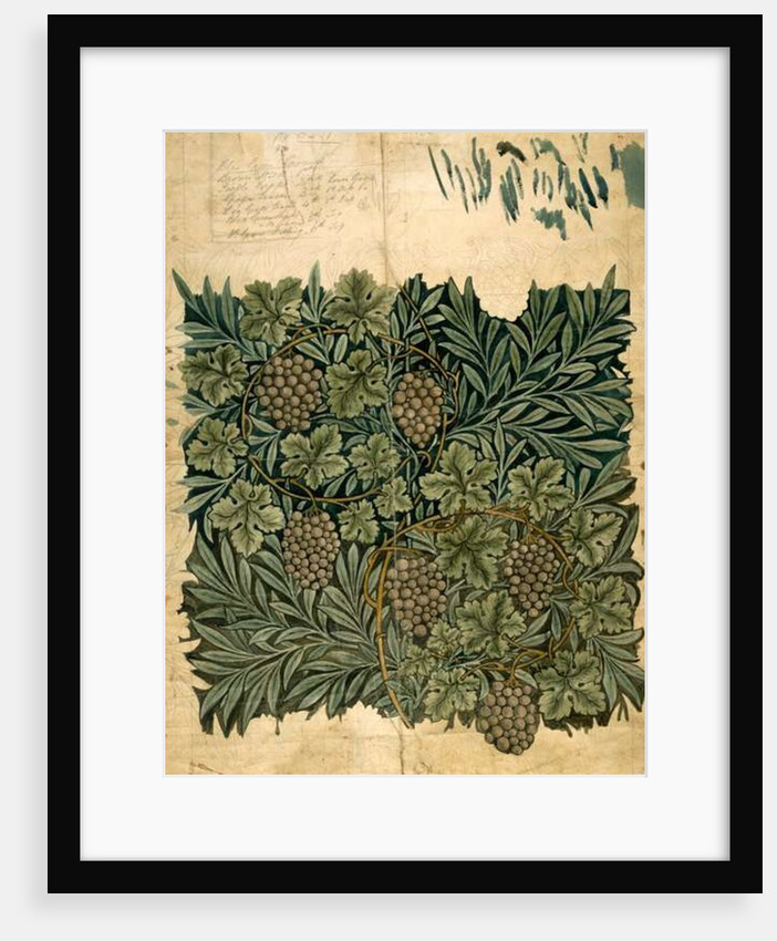 Design for 'Vine' wallpaper, c.1872 by William Morris