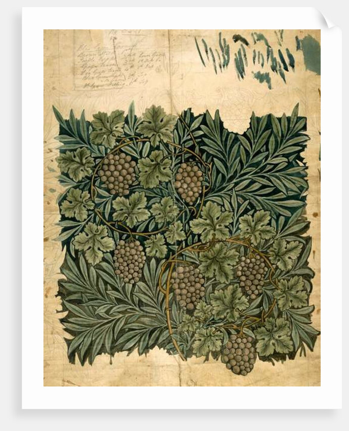 Design for 'Vine' wallpaper, c.1872 by William Morris