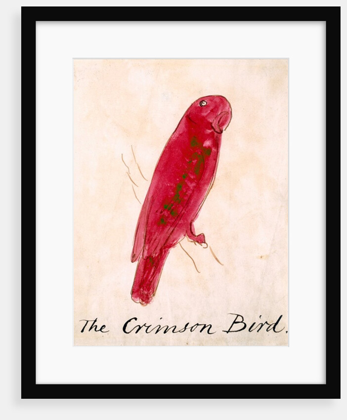 The Crimson Bird by Edward Lear