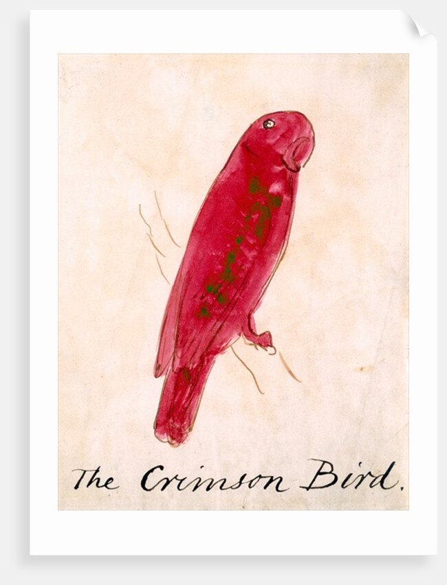 The Crimson Bird by Edward Lear