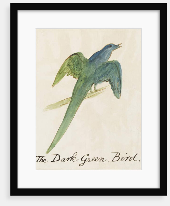 The Dark Green Bird by Edward Lear