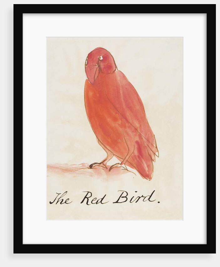The Red Bird by Edward Lear