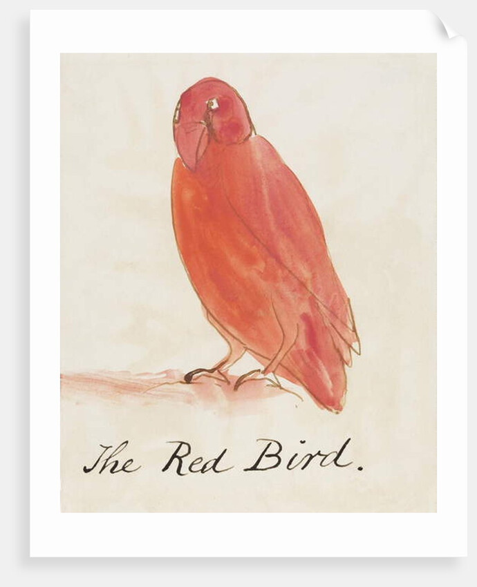 The Red Bird by Edward Lear