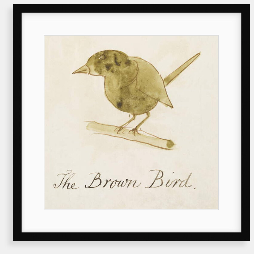 The Brown Bird by Edward Lear