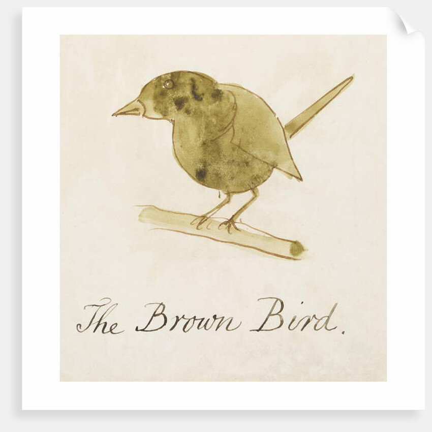 The Brown Bird by Edward Lear