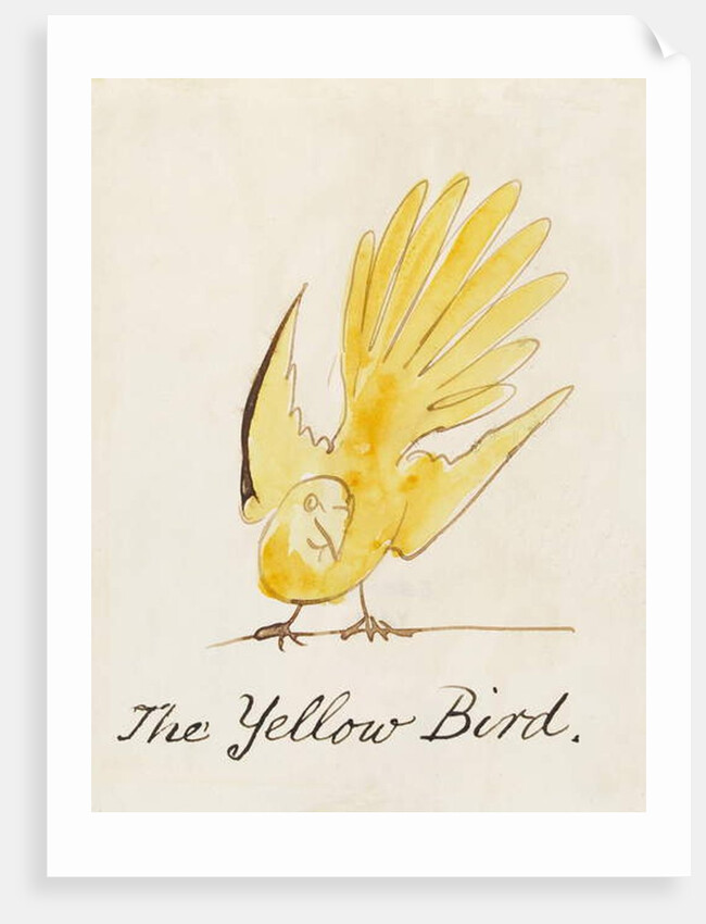 The Yellow Bird by Edward Lear