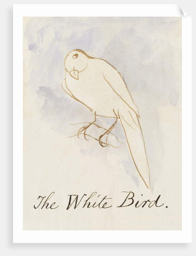 The White Bird by Edward Lear