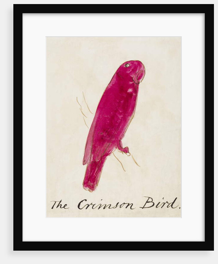 The Crimson Bird by Edward Lear