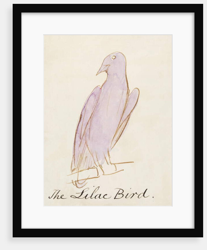 The Lilac Bird by Edward Lear