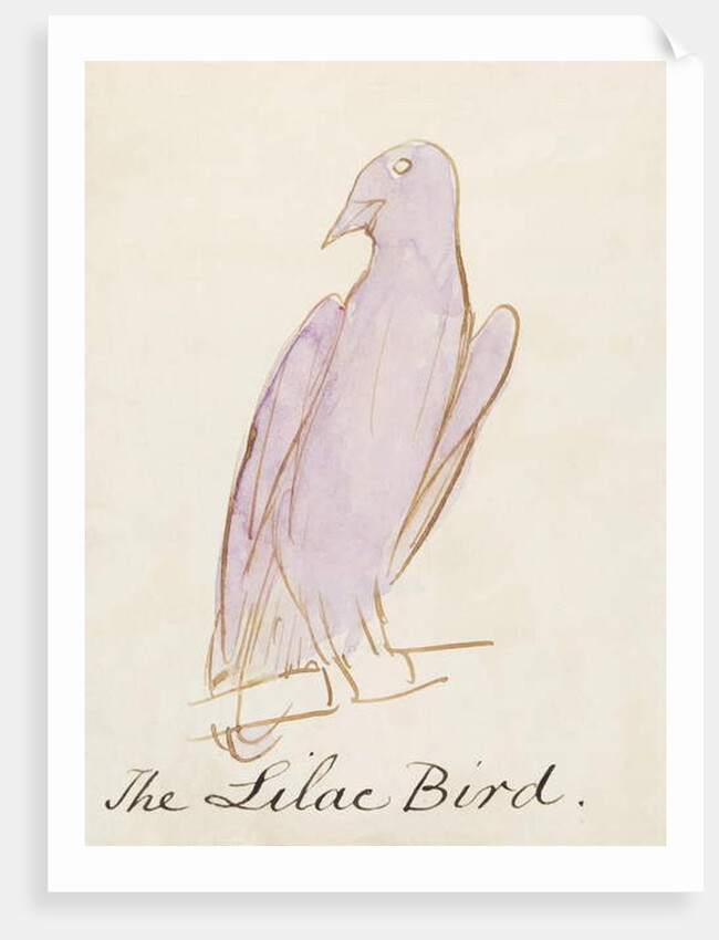 The Lilac Bird by Edward Lear