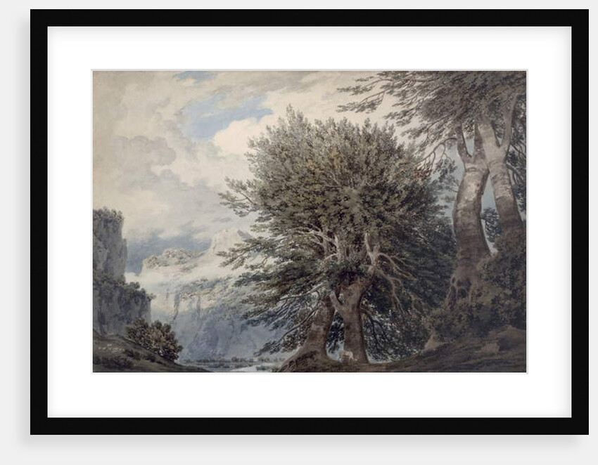 Mountainous Landscape with Beech Trees, 1792 by John Robert Cozens