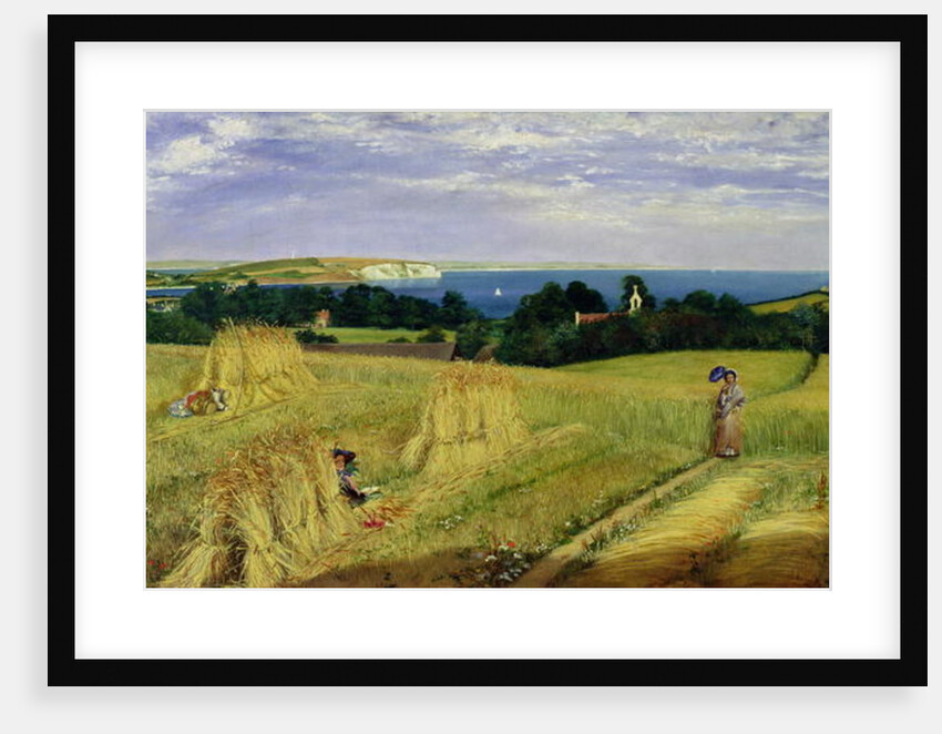 Corn Field in the Isle of Wight by Richard Burchett