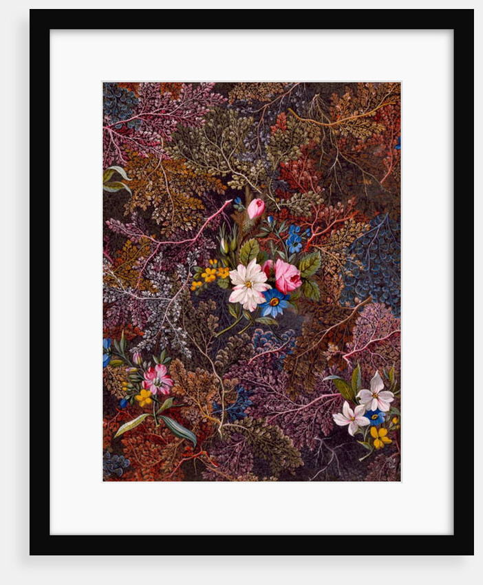 Textile design, c.1788-92 by William Kilburn