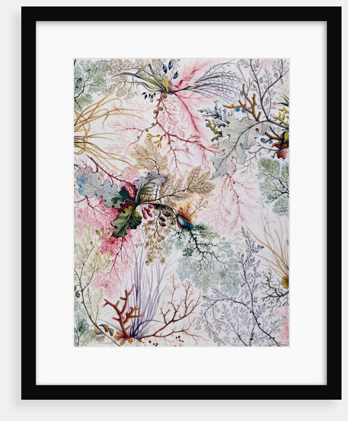 Textile design, c.1788-92 by William Kilburn