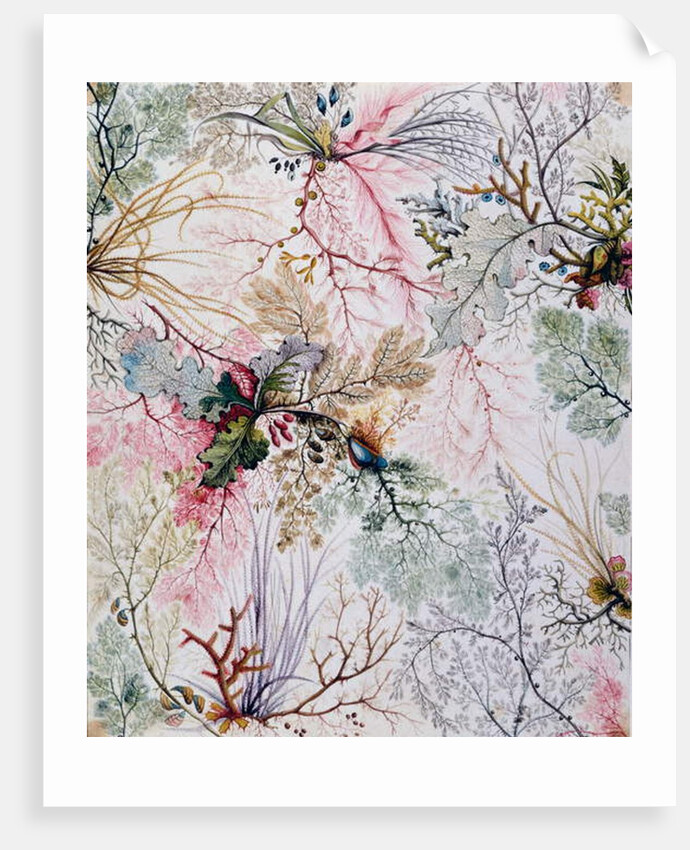 Textile design, c.1788-92 by William Kilburn