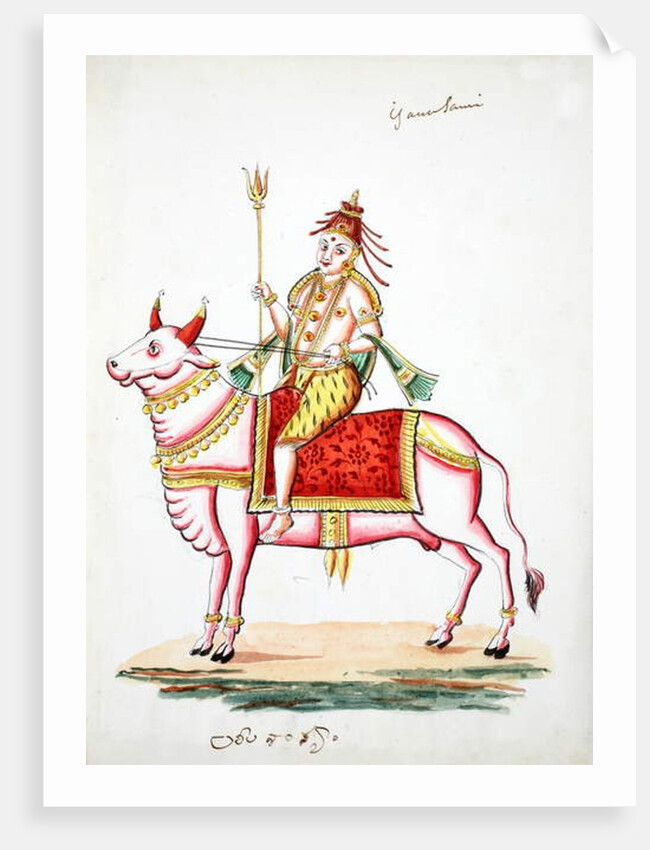 Shiva mounted on the bull, Nandi by Indian School