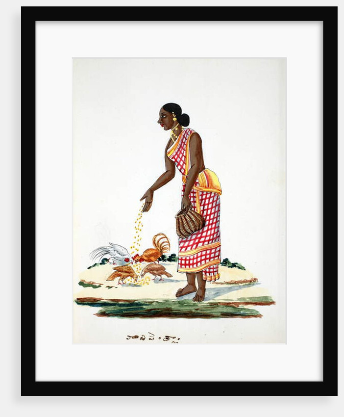 Woman feeding chickens by Indian School