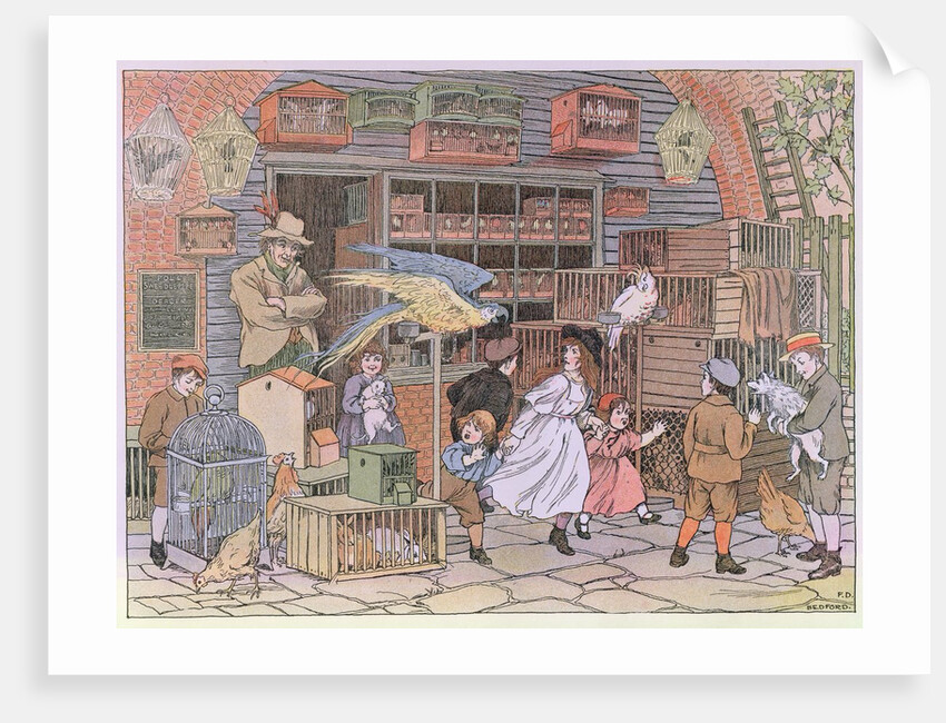 The Pet Shop by Francis Donkin Bedford