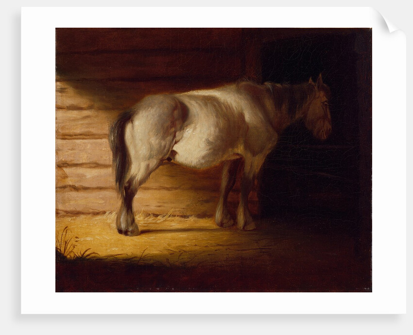 Old Field Horse, by 1856 by George Caleb Bingham
