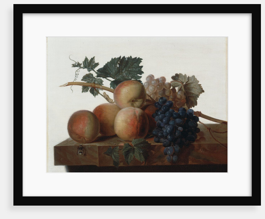 Still life, 1810 by John Johnston