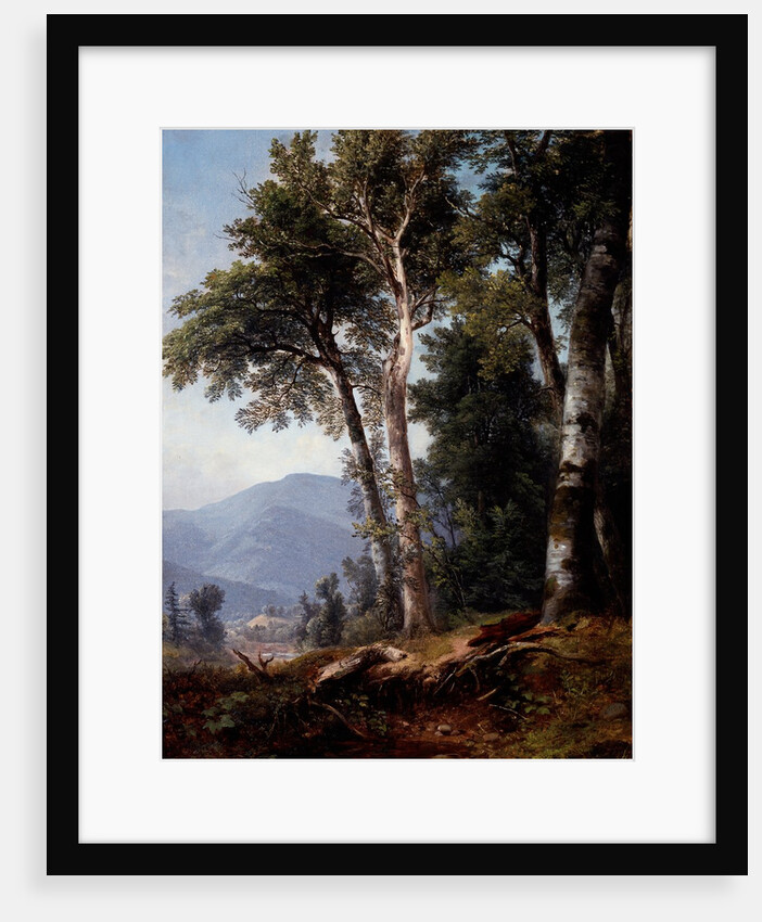 Woodland Landscape, c.1850 by Asher Brown Durand