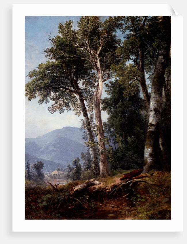 Woodland Landscape, c.1850 by Asher Brown Durand