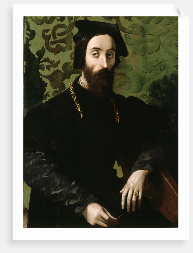 Portrait of a Musician, c.1540 by Girolamo Mazzola Bedoli