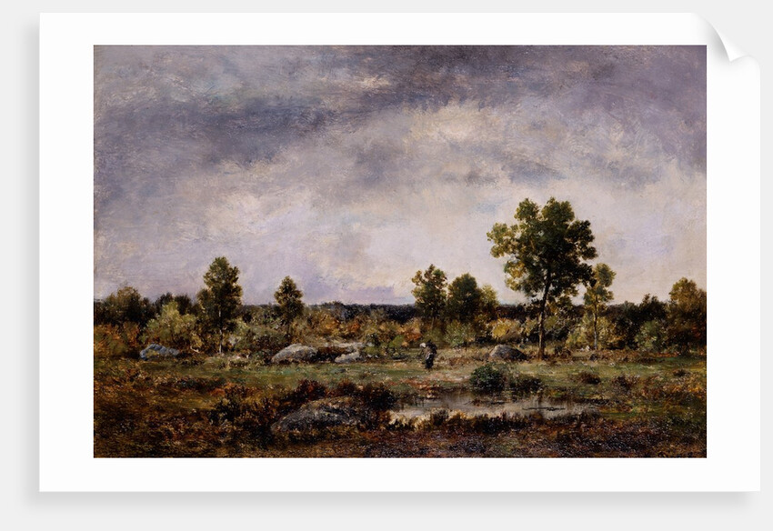 Landscape, 19th century by Narcisse Virgile Diaz de la Pena