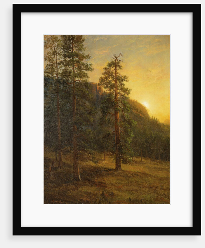 California Redwoods, 1872 by Albert Bierstadt