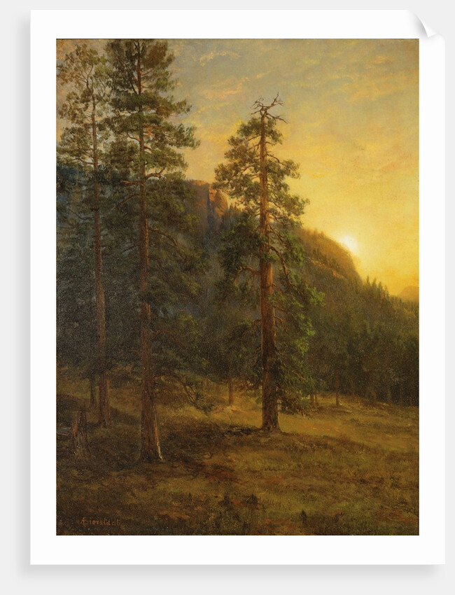 California Redwoods, 1872 by Albert Bierstadt