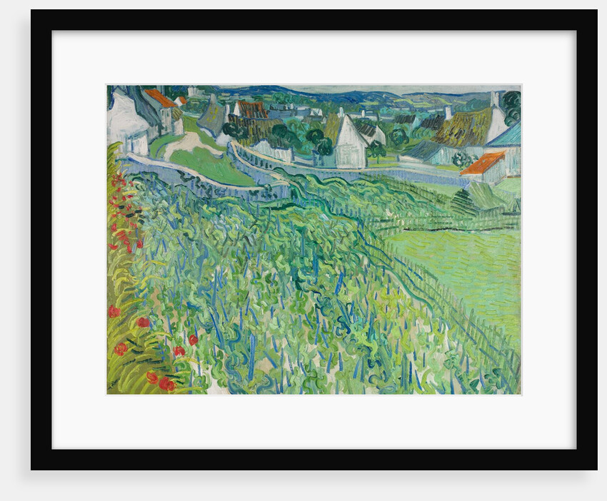 Vineyards at Auvers, June 1890 by Vincent van Gogh