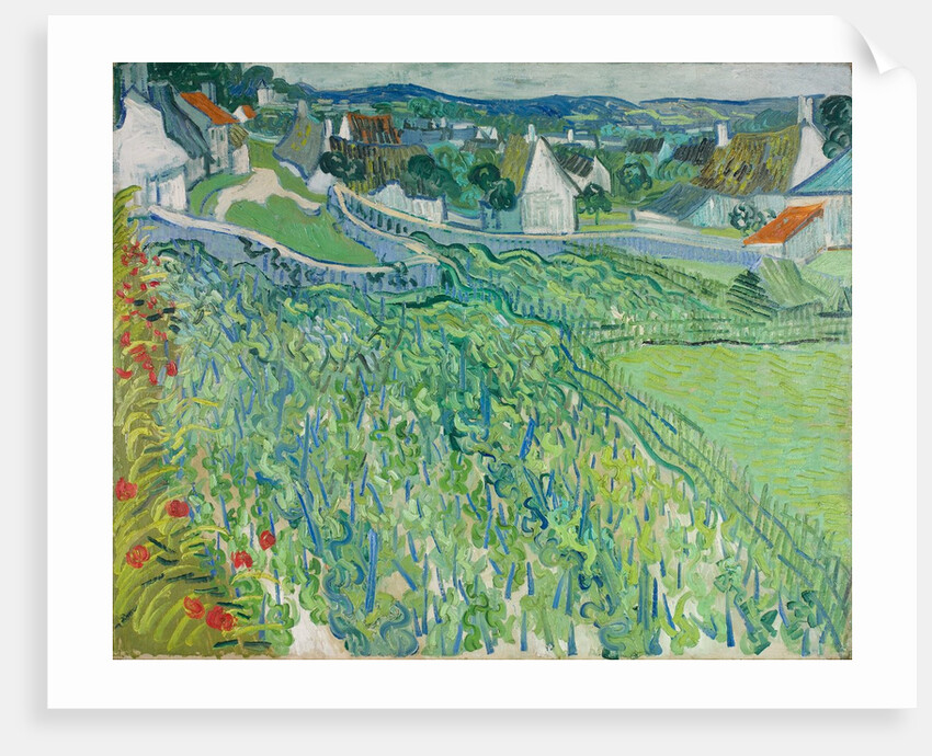 Vineyards at Auvers, June 1890 by Vincent van Gogh