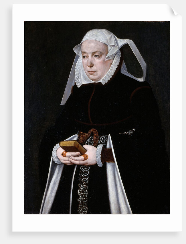 Portrait of a Woman, c.1560-70 by Bartholomaus the Younger Bruyn