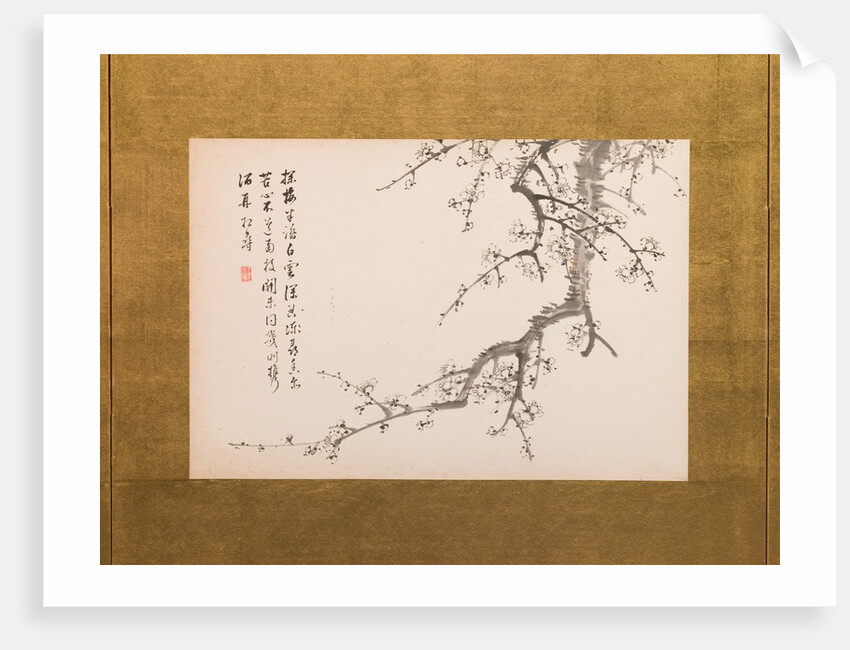 Prunus Blossoms, folding screen, panel 2 of 4, Edo period 1844 by Yamamoto Baiitsu