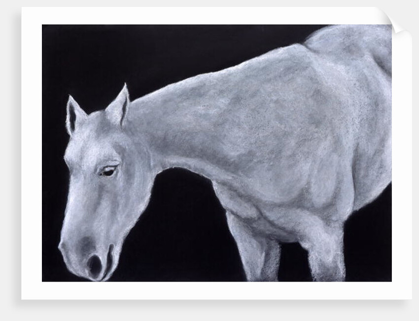 Ghost by Stevie Taylor