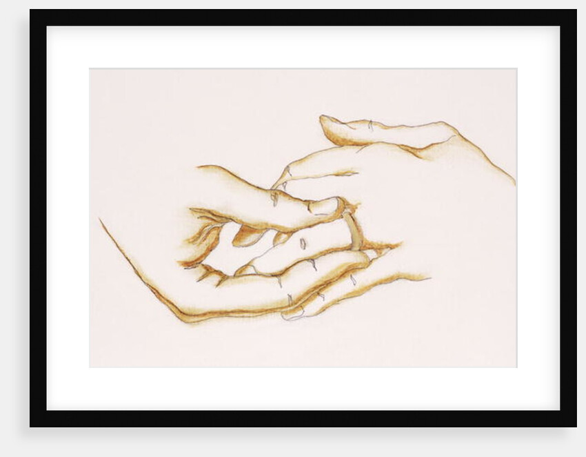 The Ring, 2007 by Stevie Taylor