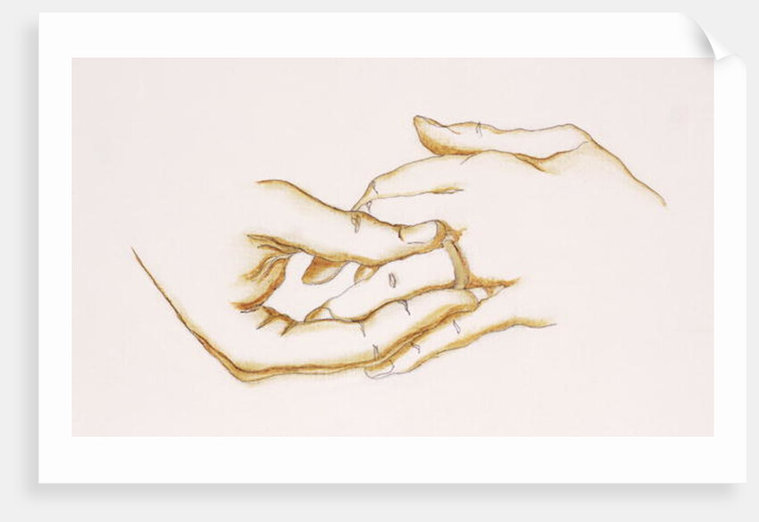 The Ring, 2007 by Stevie Taylor