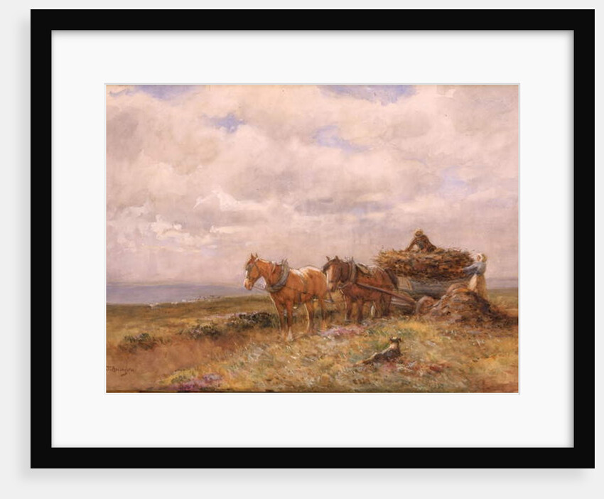 Carting Turf drawing by John Atkinson