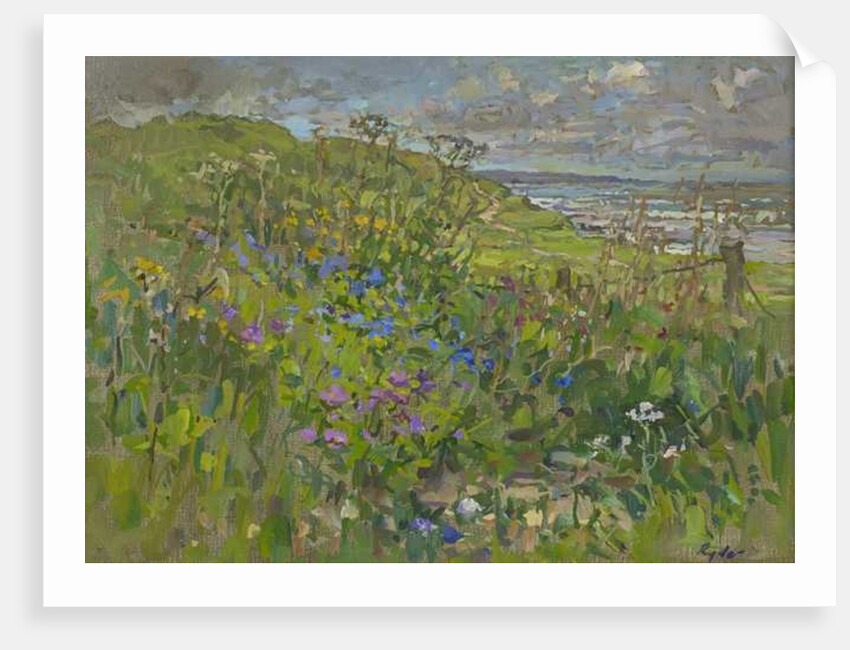 Headland Flowers near Berwick by Susan Ryder