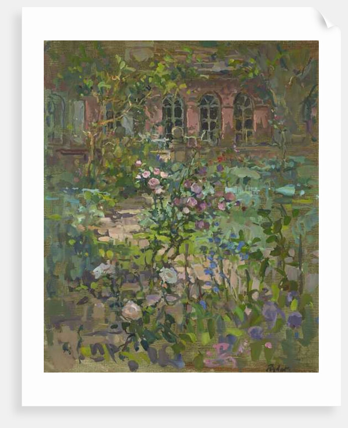 Rose in Shadow by Susan Ryder