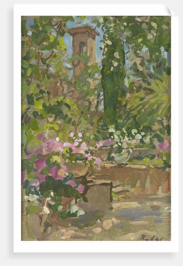 Rose Arch, Languedoc by Susan Ryder