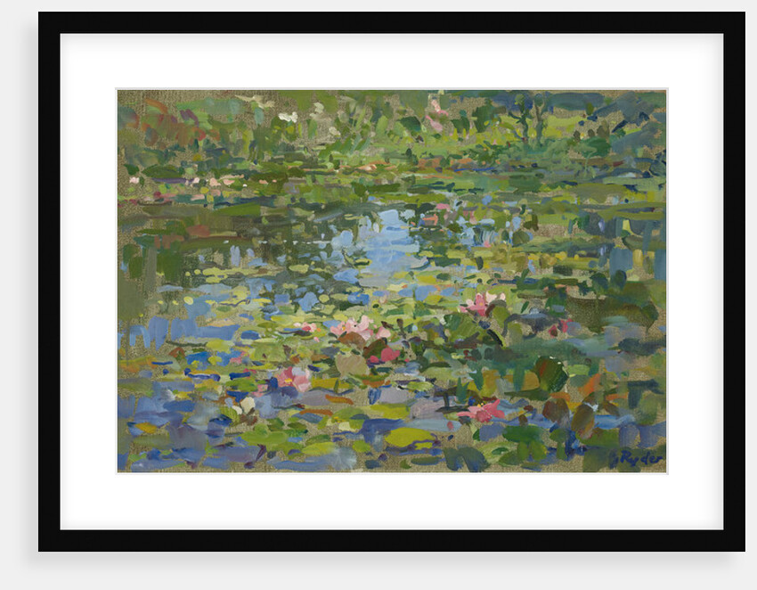 Waterlilies by Susan Ryder
