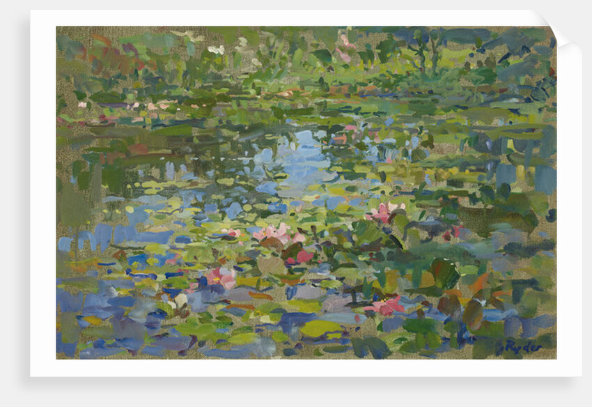 Waterlilies by Susan Ryder