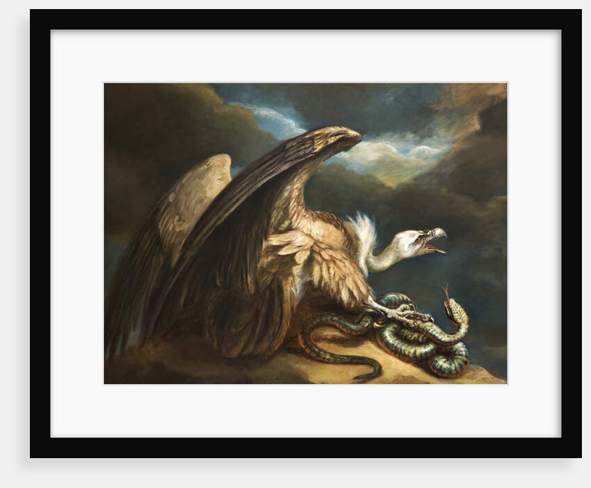 Vulture and Snake, 1798 by James Northcote