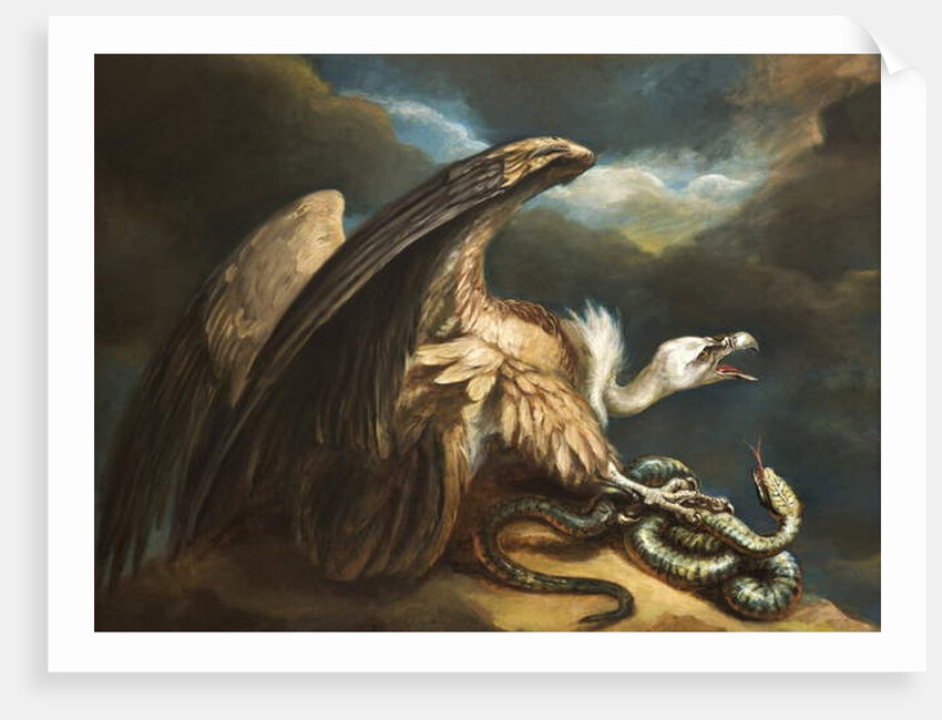 Vulture and Snake, 1798 by James Northcote