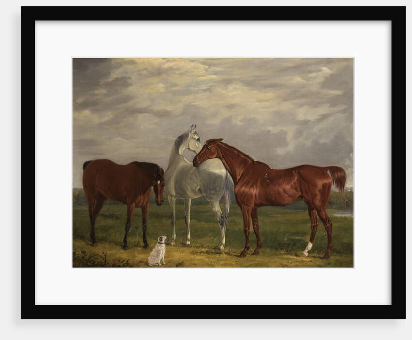Three Horses of the 2nd Lord de Tabley and His Dog, 'Vic', 1838 by Henry Calvert