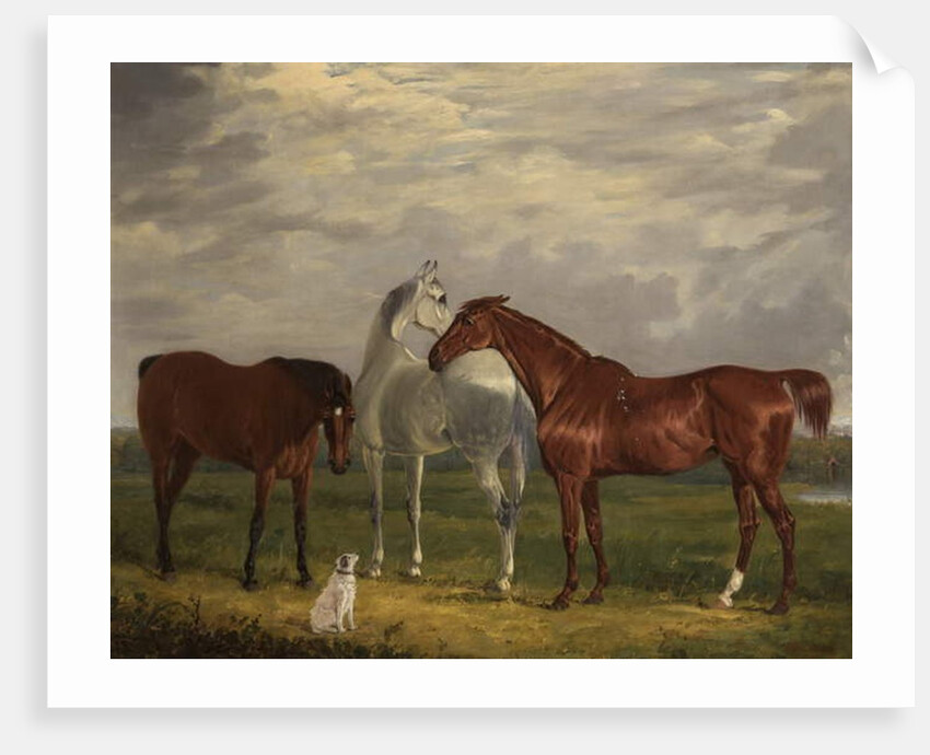 Three Horses of the 2nd Lord de Tabley and His Dog, 'Vic', 1838 by Henry Calvert